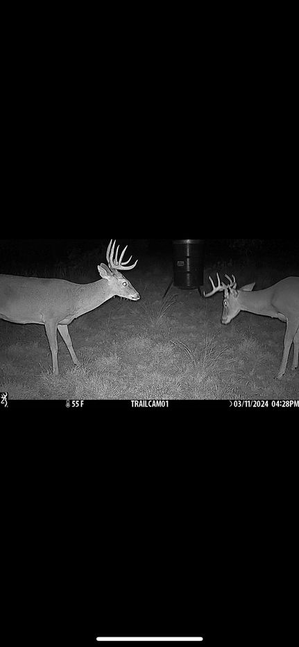 Property for sale in Schleicher County, Texas