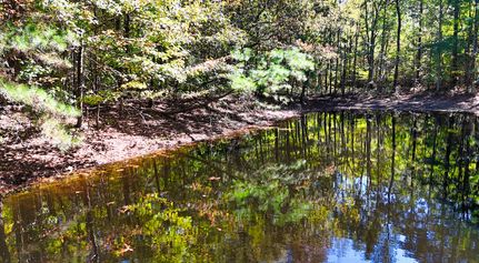 Property for sale in Benton County, Tennessee