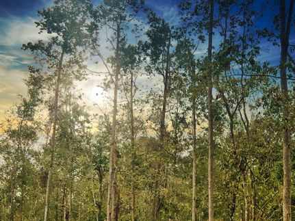 Hunting Land for sale in Orange County, Texas