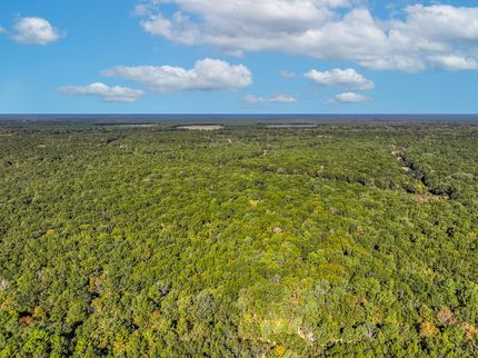 Timberland Property for sale in Red River County, Texas