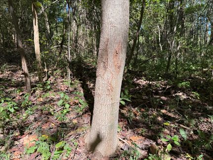 Property for sale in Hardin County, Illinois