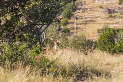 Property for sale in Real County, Texas