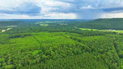 Undeveloped Land for sale in Pope County, Arkansas