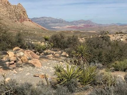 Property for sale in Clark County, Nevada