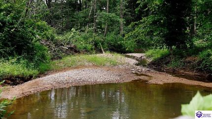 Undeveloped Land for sale in Ohio County, Kentucky