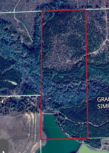 Undeveloped Land for sale in Clay County, Georgia