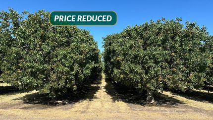 Farm Property for sale in Merced County, California