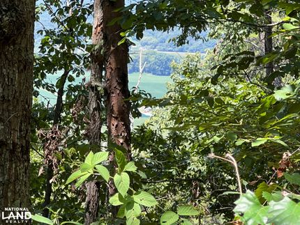 Property for sale in DeKalb County, Alabama