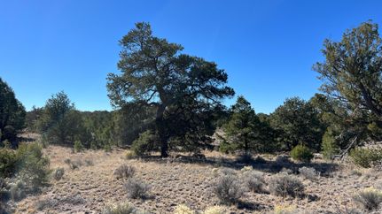 Timberland Property for sale in Catron County, New Mexico