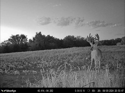 Property in Worth County, Missouri