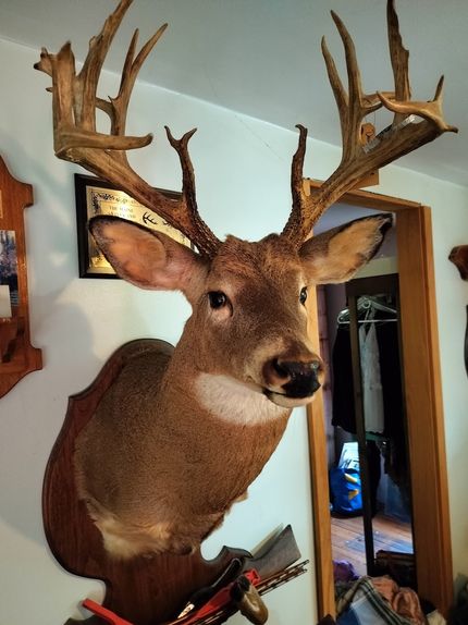 Property for sale in Waldo County, Maine