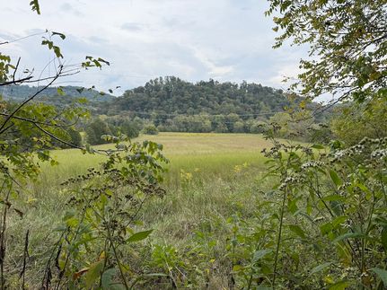 Property for sale in Knox County, Tennessee