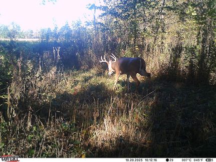 Property for sale in Clark County, Illinois