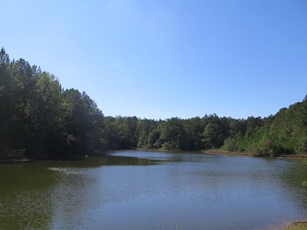 Property for sale in Wayne County, Mississippi