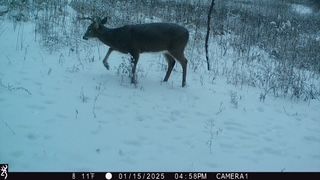 Property in Dunn County, Wisconsin