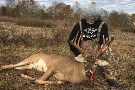 Property in Allen County, Kentucky