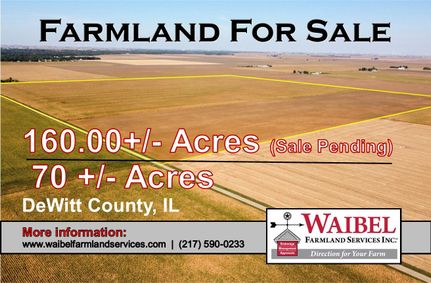 Property for sale in DeWitt County, Illinois