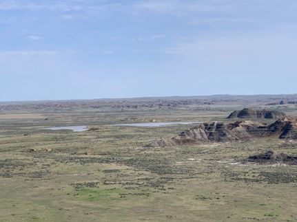 Property for sale in Custer County, Montana