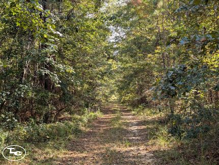Property for sale in Wilcox County, Alabama