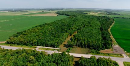 Property for sale in Jackson County, Arkansas