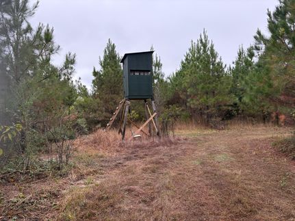 Property for sale in Lamar County, Alabama