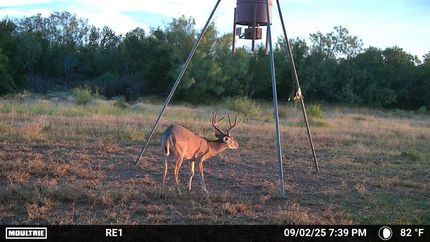 Property for sale in Zapata County, Texas