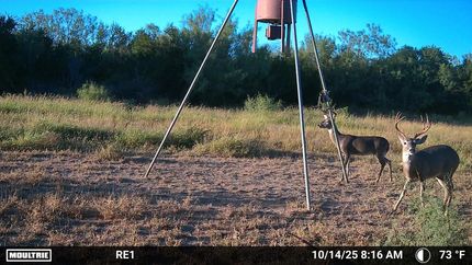 Property for sale in Zapata County, Texas