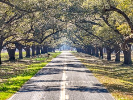 Property for sale in Allendale County, South Carolina