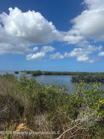 Beachfront Property for sale in Hernando County, Florida