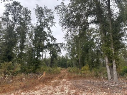 Property for sale in Covington County, Alabama