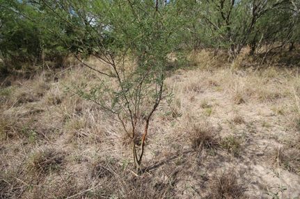 Property for sale in Brooks County, Texas