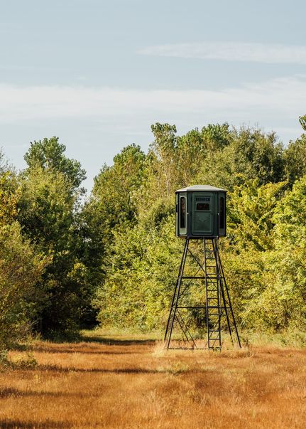 Property for sale in Mississippi County, Arkansas