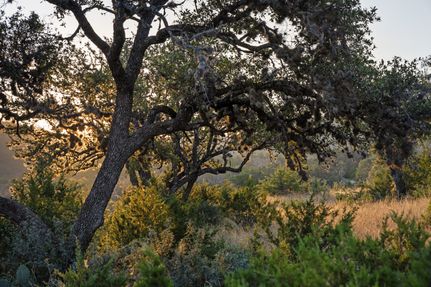 Property for sale in Real County, Texas