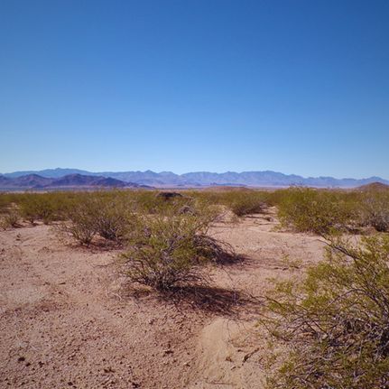 Property for sale in Mohave County, Arizona