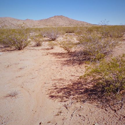 Property for sale in Mohave County, Arizona