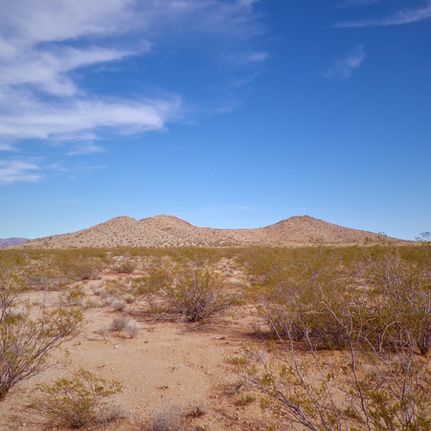 Undeveloped Land for sale in Mohave County, Arizona