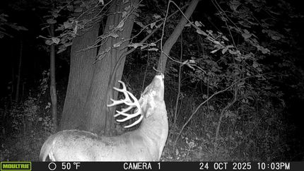 Property in Butler County, Iowa