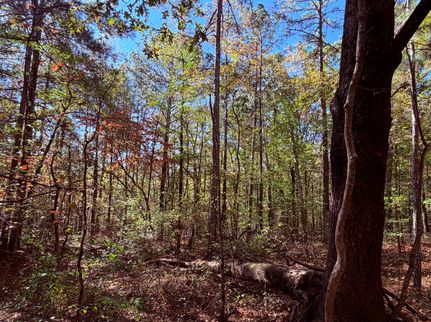 Property for sale in Carroll County, Georgia