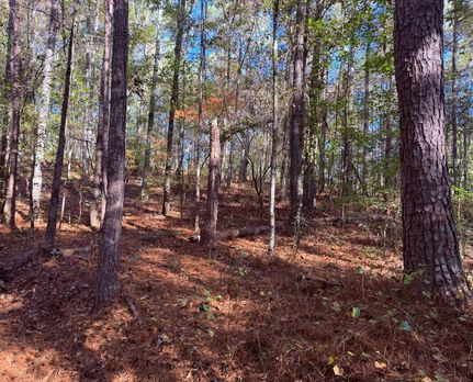 Property for sale in Carroll County, Georgia