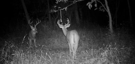 Property for sale in Clark County, Illinois