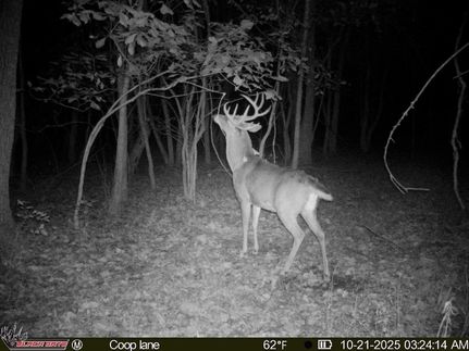 Property for sale in Crawford County, Illinois