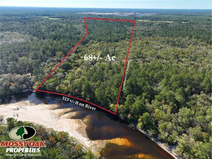 Undeveloped Land for sale in Brantley County, Georgia