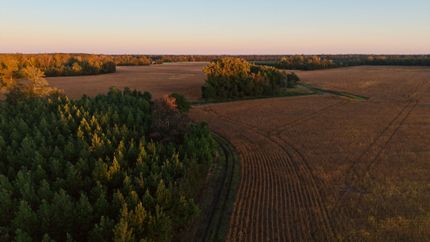 Property for sale in Williamsburg County, South Carolina