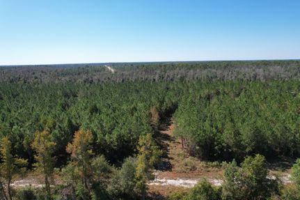 Timberland Property for sale in Calhoun County, Florida