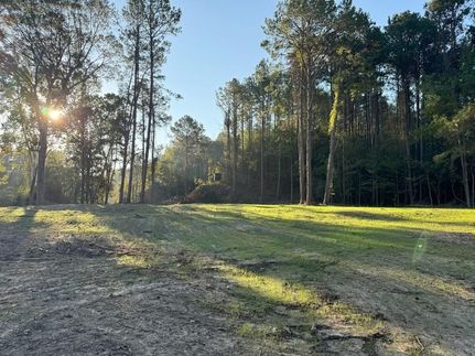 Farm Property for sale in Wilkinson County, Mississippi
