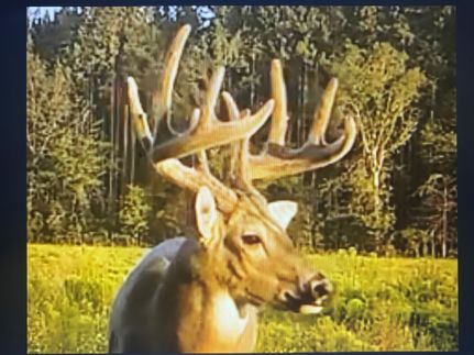 Property for sale in Emanuel County, Georgia