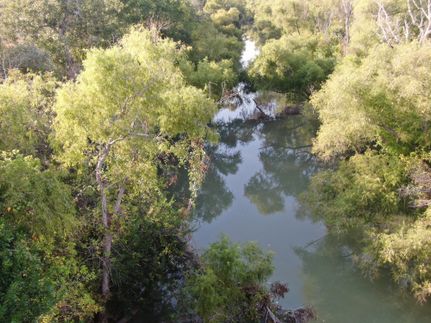 Riverfront Property for sale in Wilson County, Texas