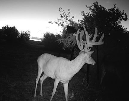 Property for sale in Bourbon County, Kansas