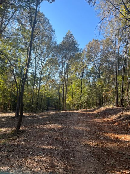 Property for sale in Upshur County, Texas