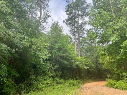 Undeveloped Land for sale in Hardin County, Texas